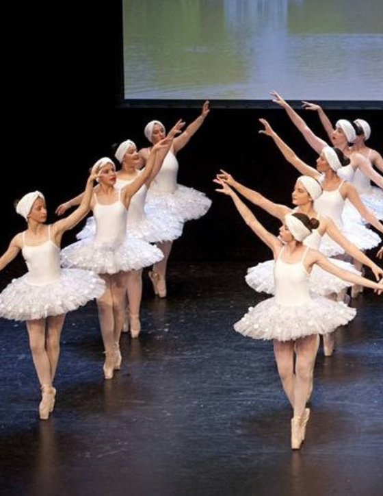 foto actuación ballet